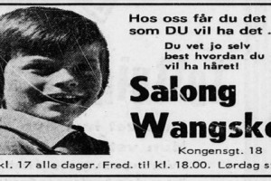 Bilde av Salong Wangskov